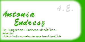 antonia endresz business card